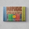 TS_mapuche_791x1024