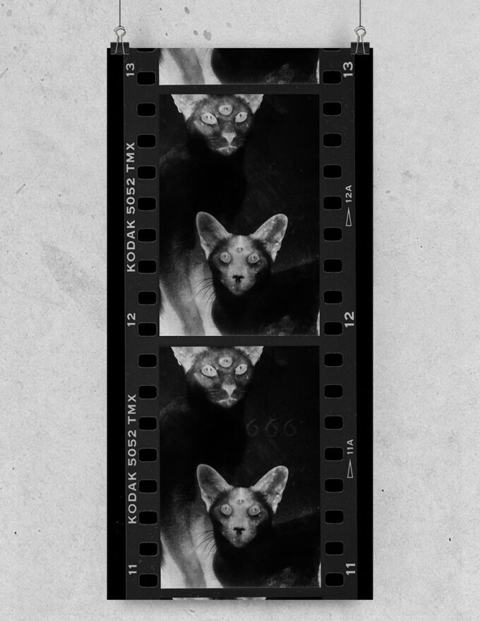 pkinga-myonlyfriends1791x1024