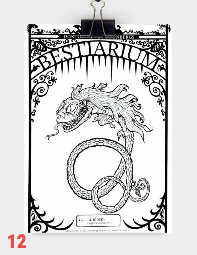 FP_12lindorm_791x1024